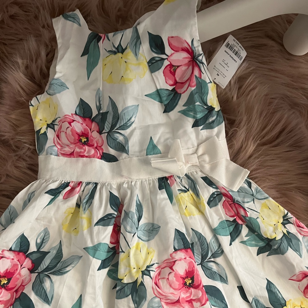 Girl spring dress